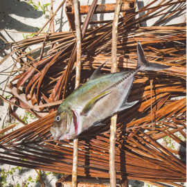 _0000_Pic 3 _0000_Pic 3