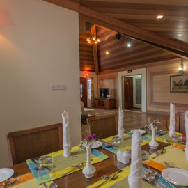 _0003__BO_3295 _0003__BO_3295