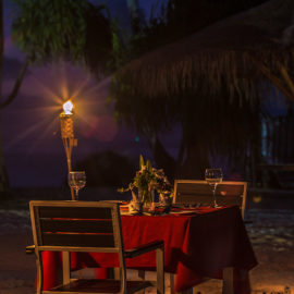 _0005__BO_2978 _0005__BO_2978